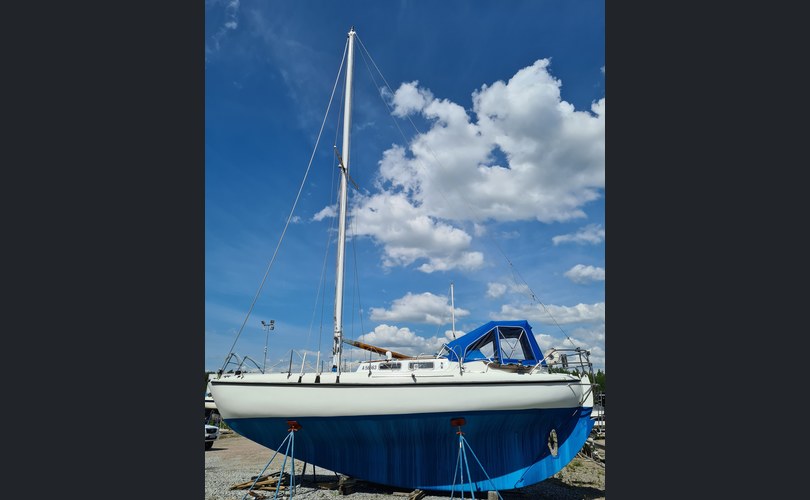 Laurin Koster 32-kuva-7